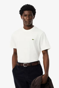 T-shirt in cotone REGULAR FIT