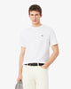 T-shirt in cotone