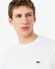 T-shirt in cotone
