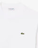 T-shirt in cotone