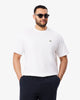 T-shirt in cotone
